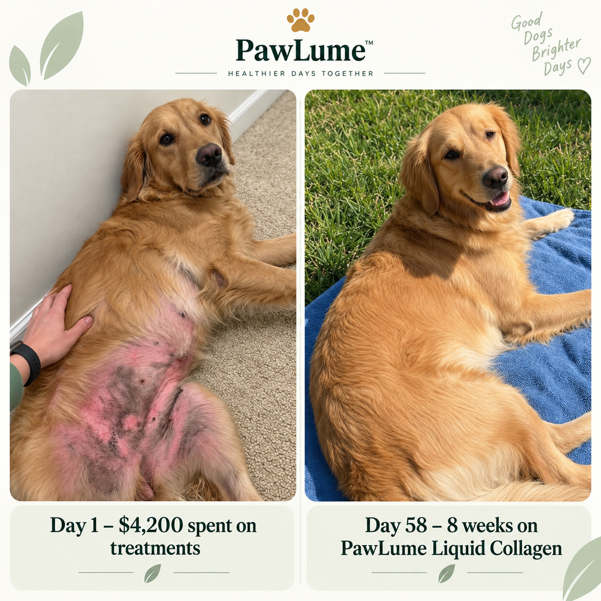 PawLume Liquid Collagen Drops for Dogs
